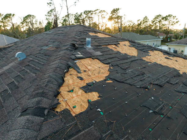 Best Asphalt Shingle Roofing  in Edgewood, MD